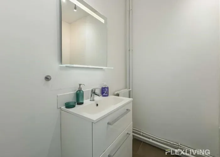 Flexliving - Whole Flat - Saint Amand *